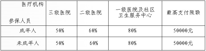 統(tǒng)籌基金支付標(biāo)準(zhǔn)