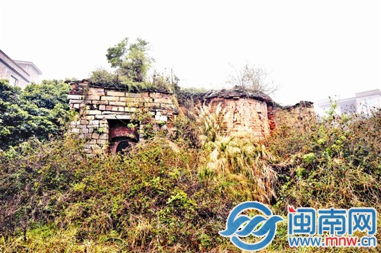 槐山村一處古窯，已經(jīng)被草叢包圍