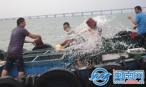 蚶江海上潑水節(jié)，千人歡樂大戰(zhàn)